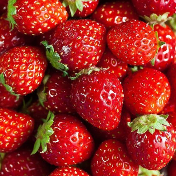 Semillas de Fresa para Cosechar tus Propias Fresas Naturales en Casa