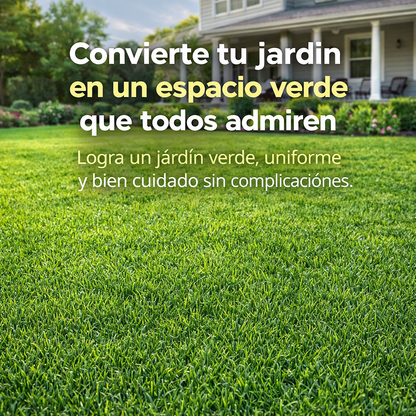 OFERTA 2X1 - SEMILLAS DE CESPED (lleva 2 paquetes por el precio de 1)