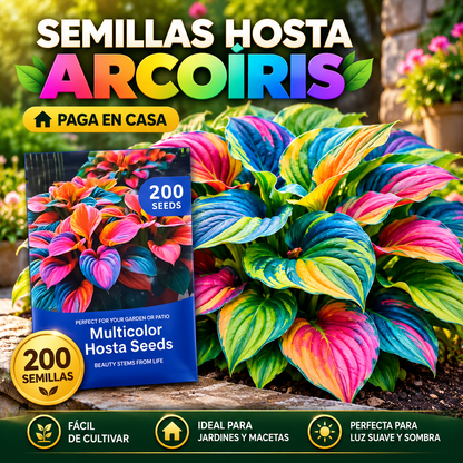 🌈 Semillas de Hostas Raras Arcoíris – Transforma tu Jardín con Colores Extraordinarios