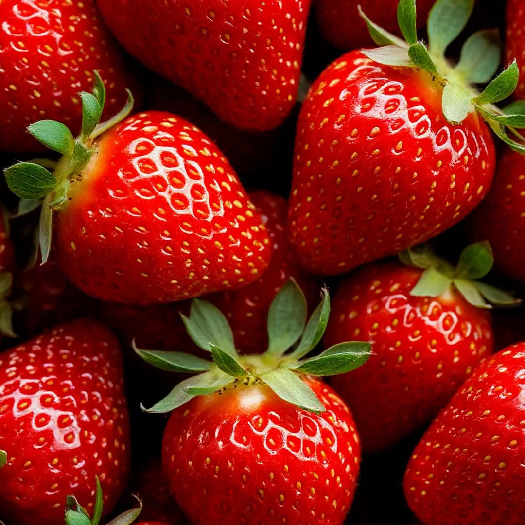 Semillas de Fresa para Cosechar tus Propias Fresas Naturales en Casa